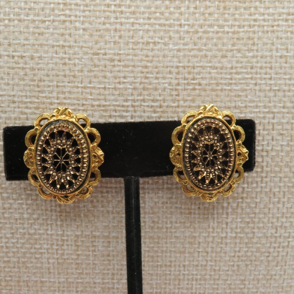 Vintage Lucite Gold Tone Clip On Earrings